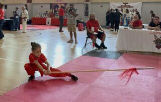 The 9th West Coast Open Martial Arts Championship, October 4, 2025: Sorina Codita