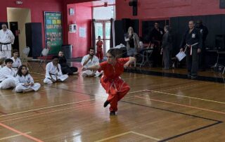 Martial Arts Foundation 34th Annual Championship, Fort Lauderdale, Florida, November 1, 2025: Diana Bushueva