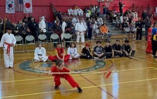 Martial Arts Foundation 34th Annual Championship, Fort Lauderdale, Florida, November 1, 2025: Sorina Codita