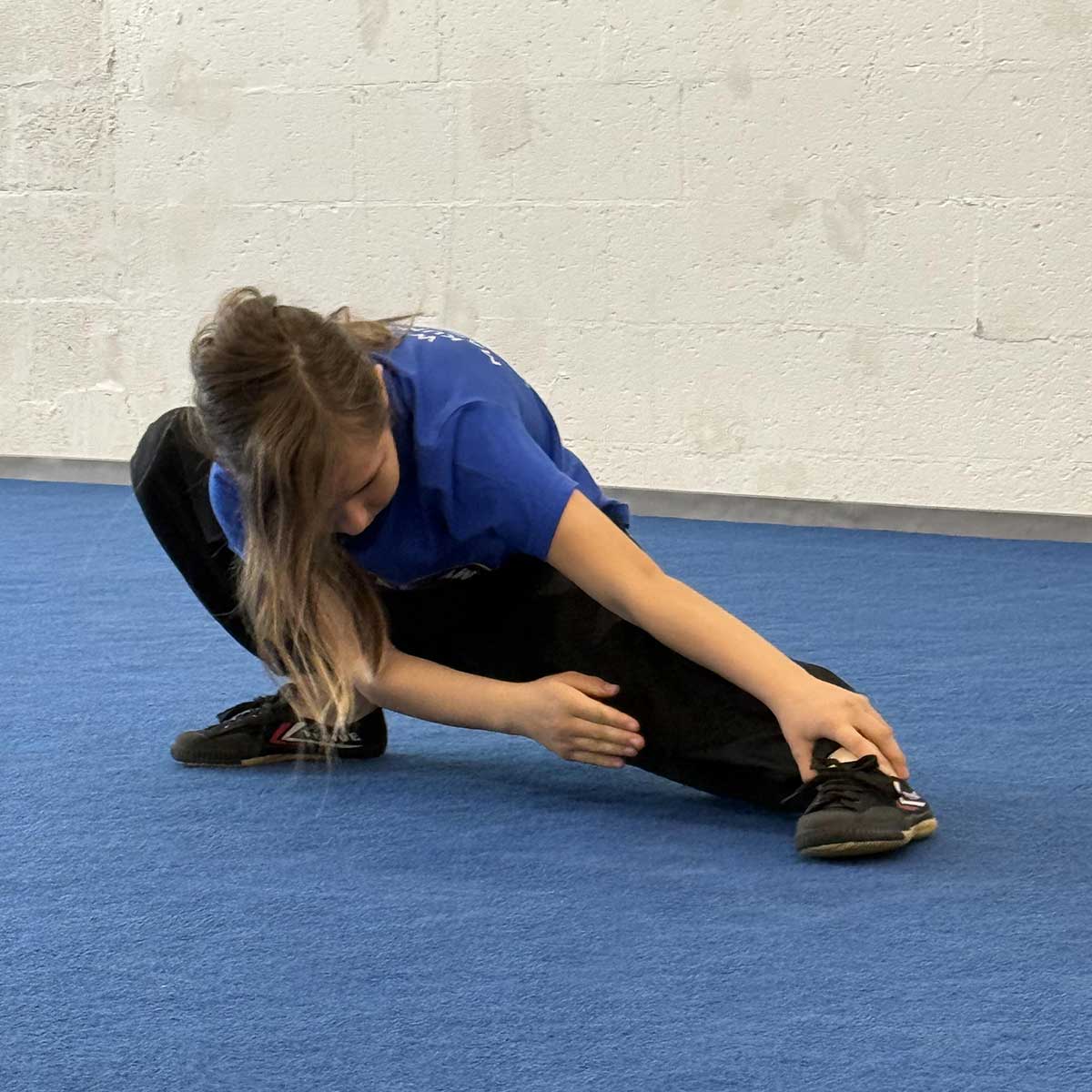 Belt test February 28, 2026: Alfia Cohen Belt test February 28, 2026: Alfia Cohen