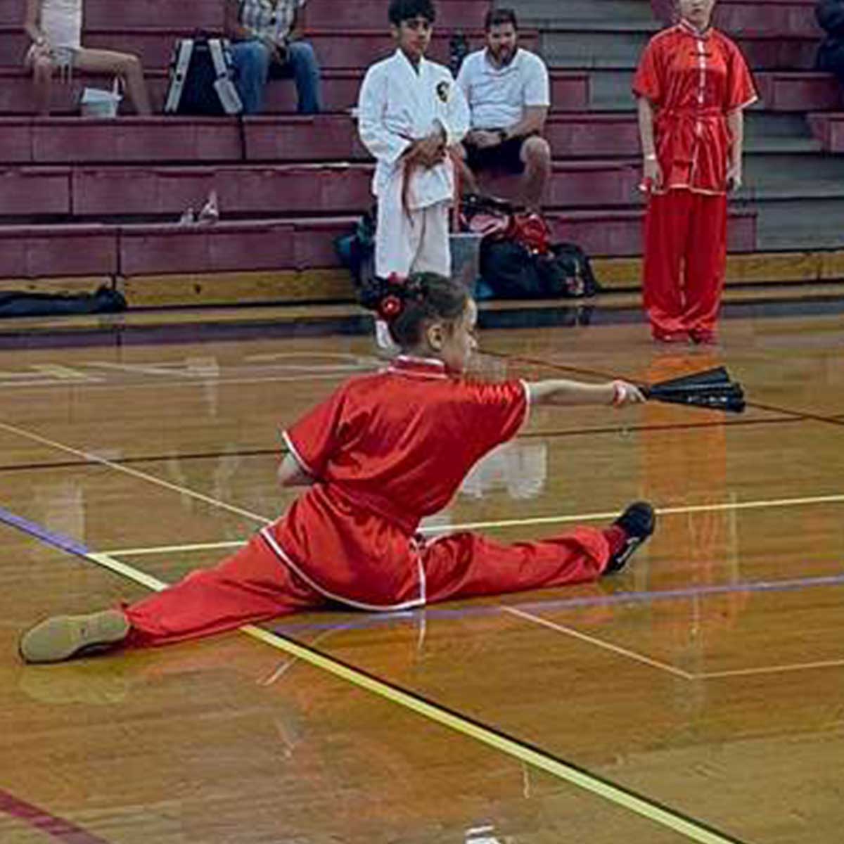 Nisei Open Invitational Martial Arts Tournament, Fort Lauderdale, March 14, 2026: Sorina Codita Nisei Open Invitational Martial Arts Tournament, Fort Lauderdale, March 14, 2026: Sorina Codita