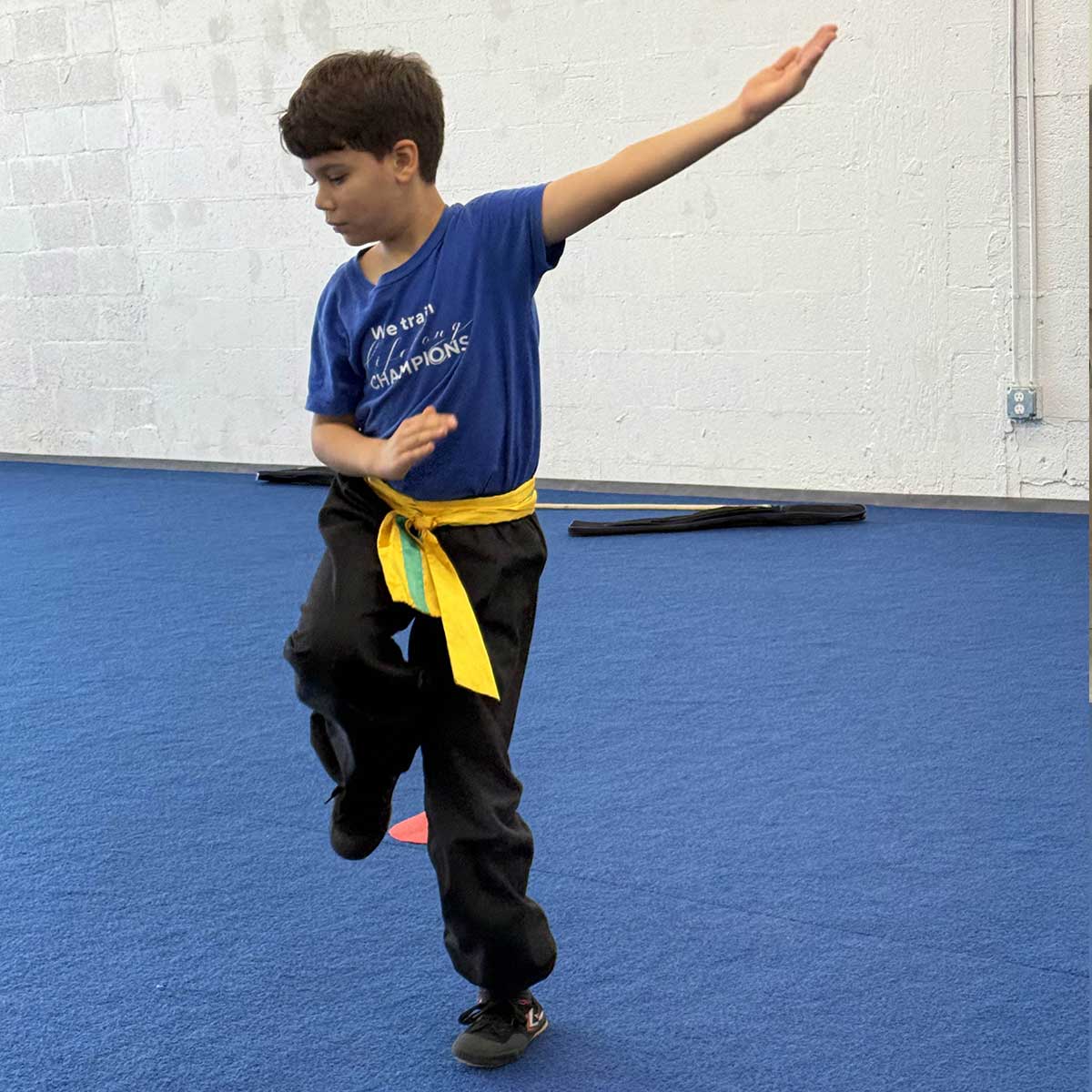 Belt test March 28, 2026: Leonardo Girasol Belt test March 28, 2026: Leonardo Girasol