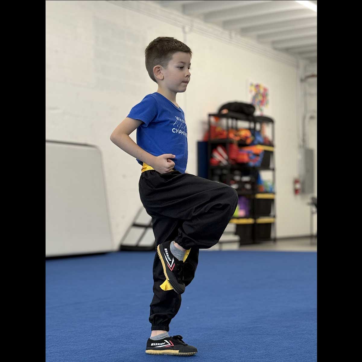 Belt test March 28, 2026: Ilia Gamartsa Belt test March 28, 2026: Ilia Gamartsa