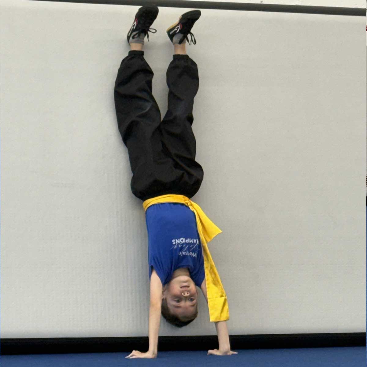 Belt test March 28, 2026: Ilia Gamartsa Belt test March 28, 2026: Ilia Gamartsa