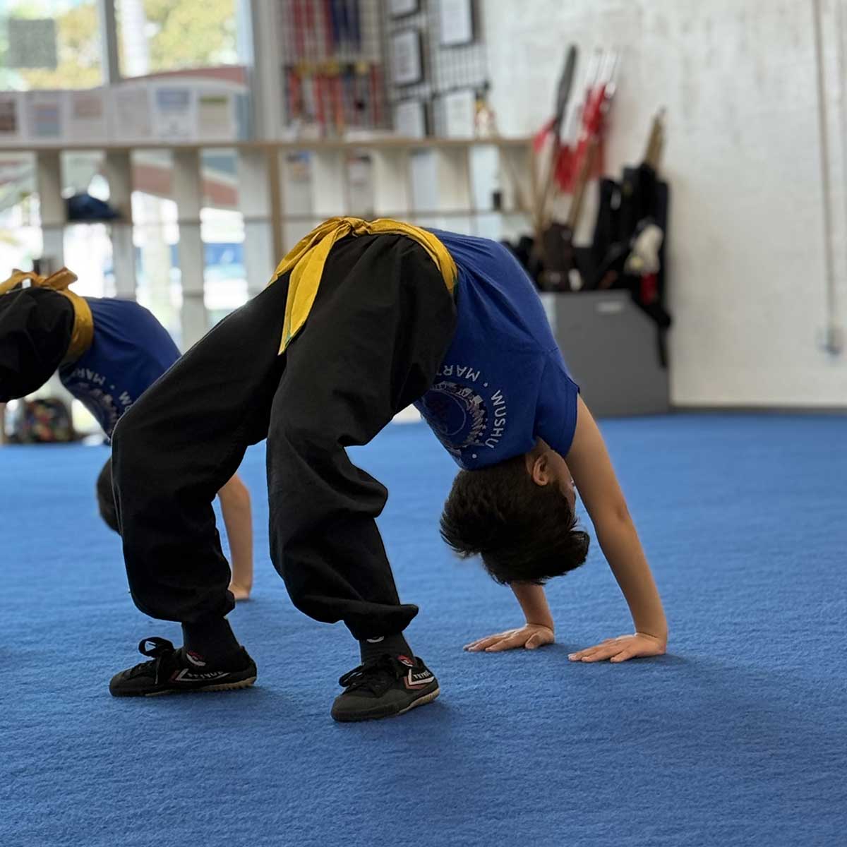 Belt test March 28, 2026: Leonardo Girasol Belt test March 28, 2026: Leonardo Girasol