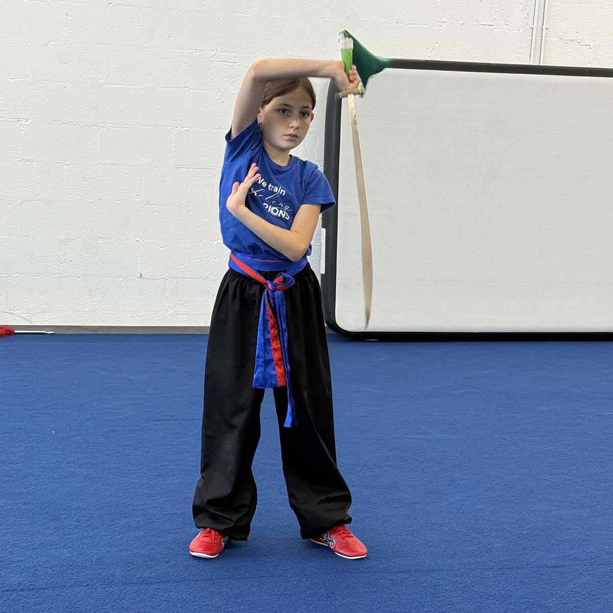 Belt Test, May 16, 2026: Lucia Viscito Belt Test, May 16, 2026: Lucia Viscito