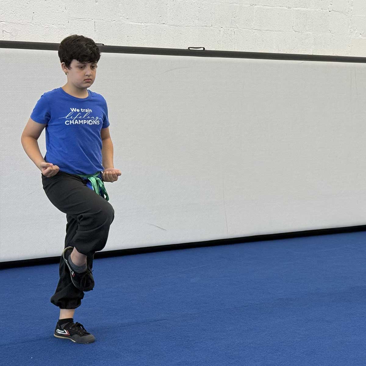 Belt Test, May 16, 2026: David Ainisman Belt Test, May 16, 2026: David Ainisman