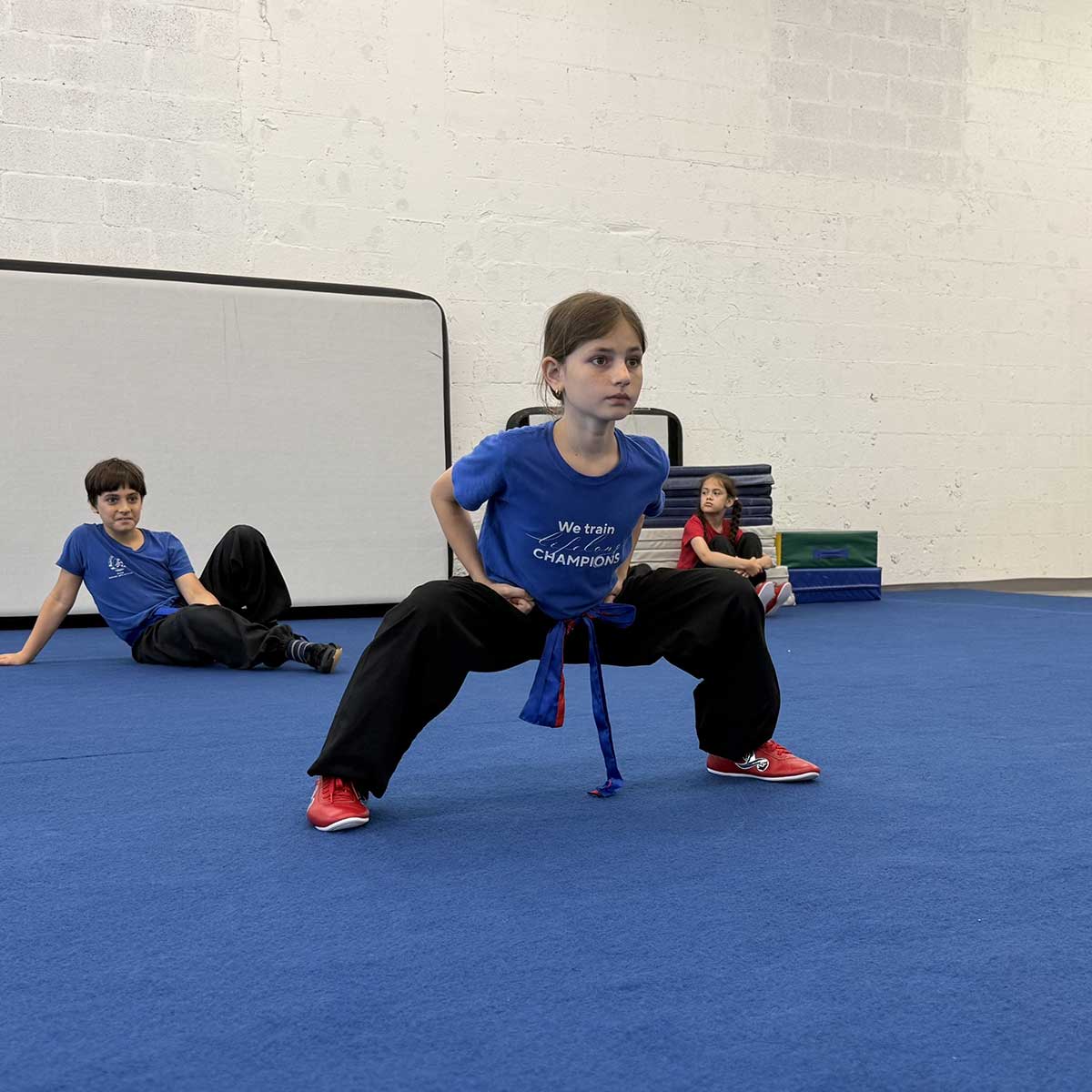 Belt Test, May 16, 2026: Lucia Viscito Belt Test, May 16, 2026: Lucia Viscito