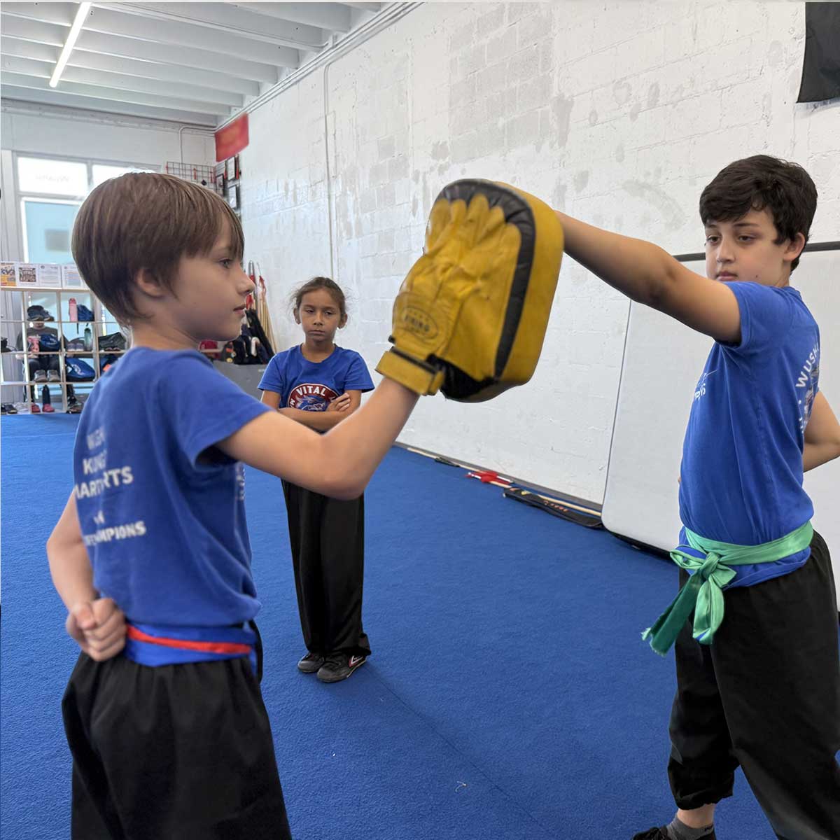 Belt Test, May 16, 2026: David Ainisman Belt Test, May 16, 2026: David Ainisman