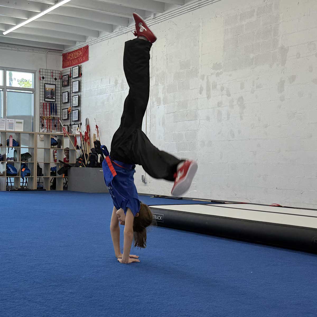 Belt Test, May 16, 2026: Lucia Viscito Belt Test, May 16, 2026: Lucia Viscito