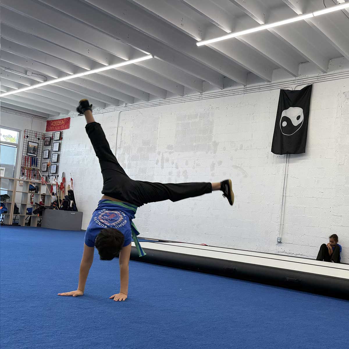 Belt Test, May 16, 2026: David Ainisman Belt Test, May 16, 2026: David Ainisman