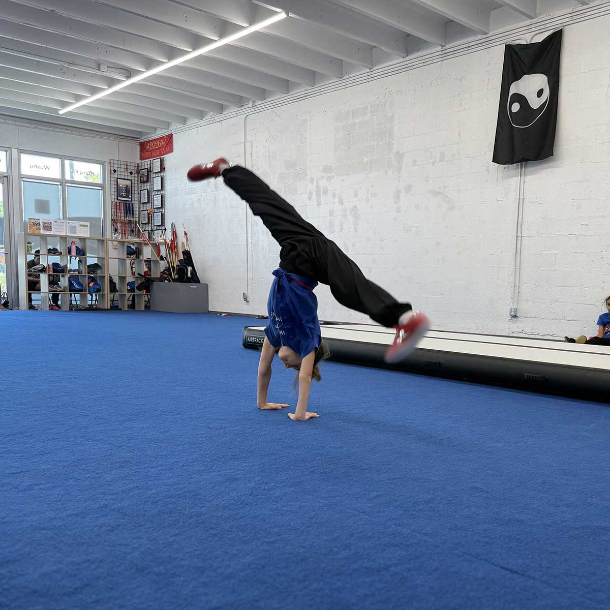Belt Test, May 16, 2026: Lucia Viscito Belt Test, May 16, 2026: Lucia Viscito
