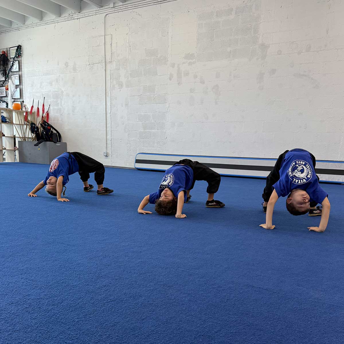 Belt test October 24, 2026: Arina Belugina, Isaac Espinales, Miron Belugin Belt test October 24, 2026: Arina Belugina, Isaac Espinales, Miron Belugin