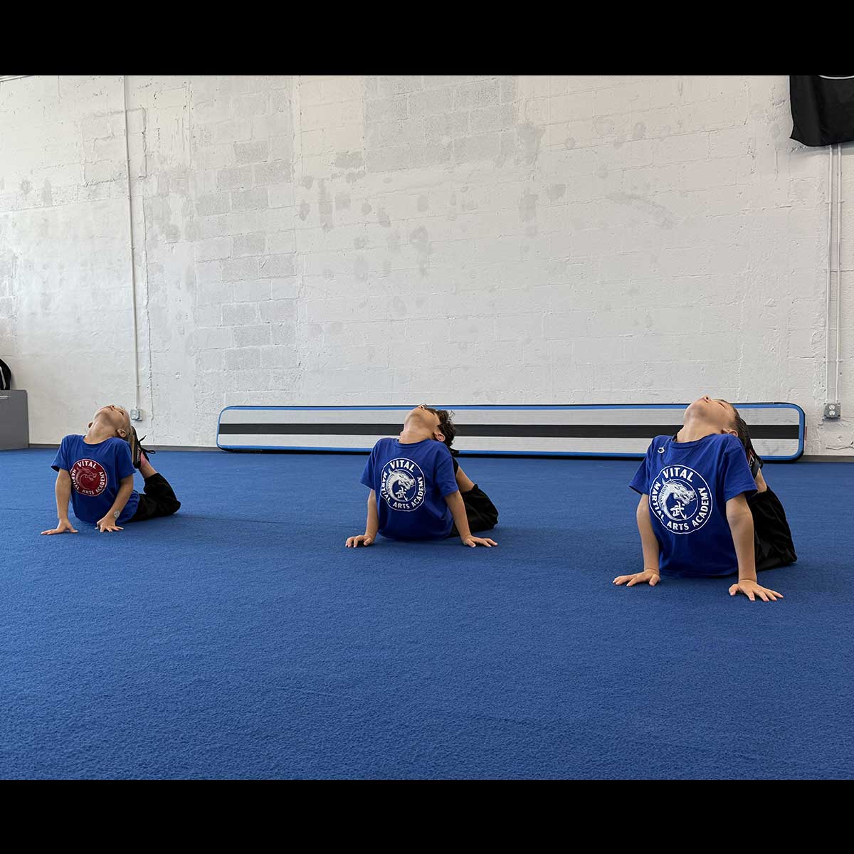 Belt test October 24, 2026: Arina Belugina, Isaac Espinales, Miron Belugin Belt test October 24, 2026: Arina Belugina, Isaac Espinales, Miron Belugin